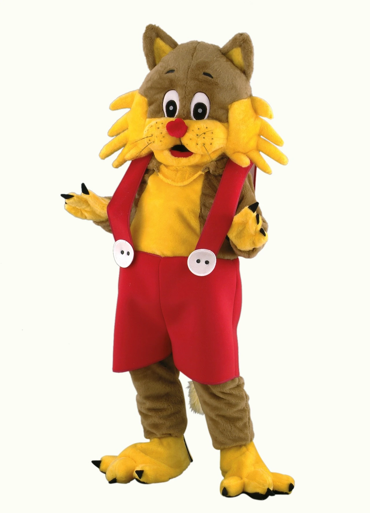 Kattenpak – Tom De Kat 3 Kattenpak – Tom De Kat