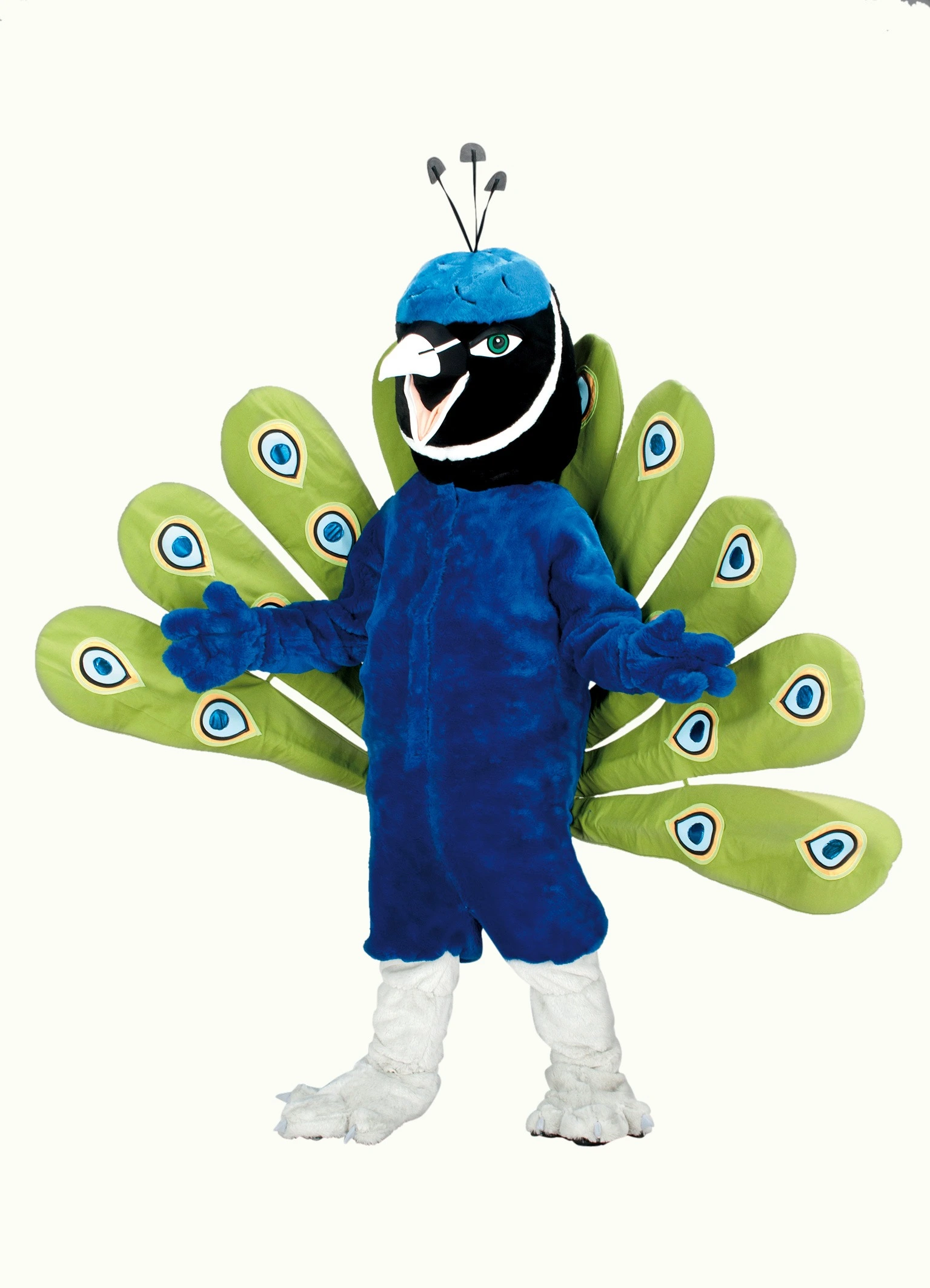 Pauwenpak – Pamela De Pauw 3 Pauwenpak – Pamela De Pauw