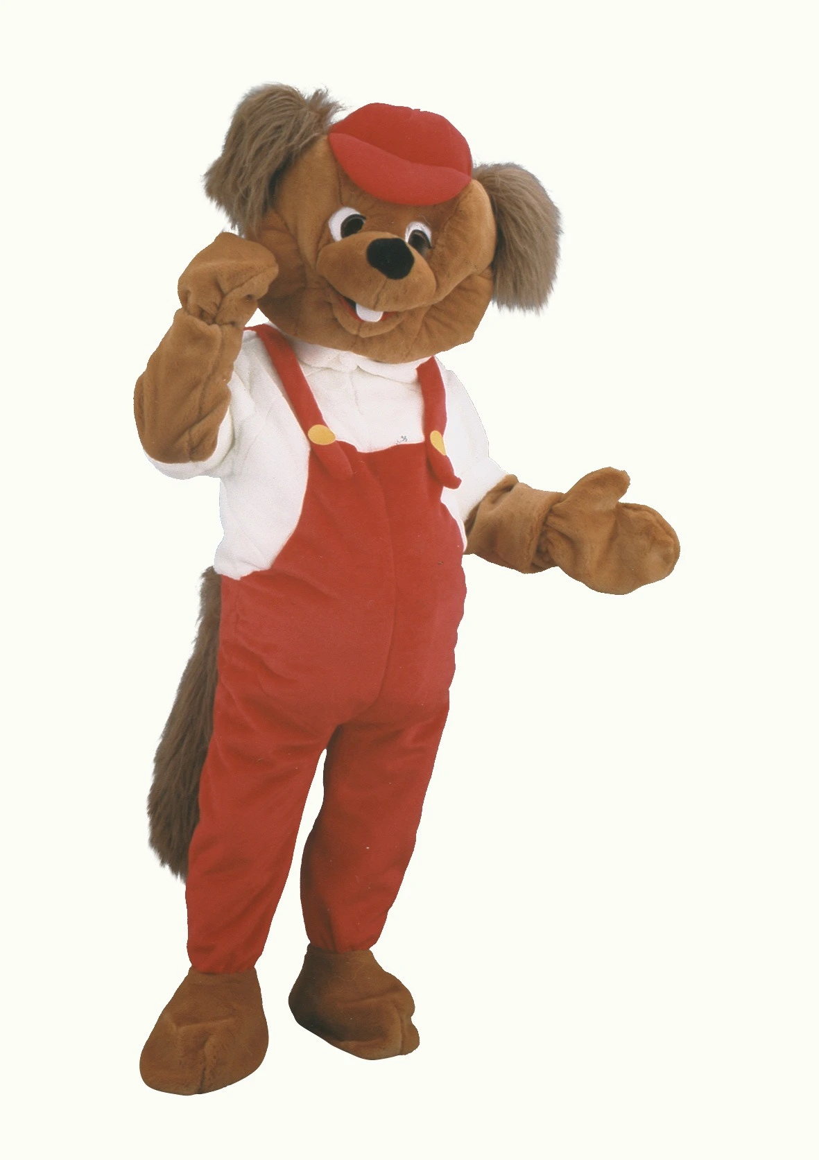 Beverpak – Bas De Bever 3 Beverpak – Bas De Bever