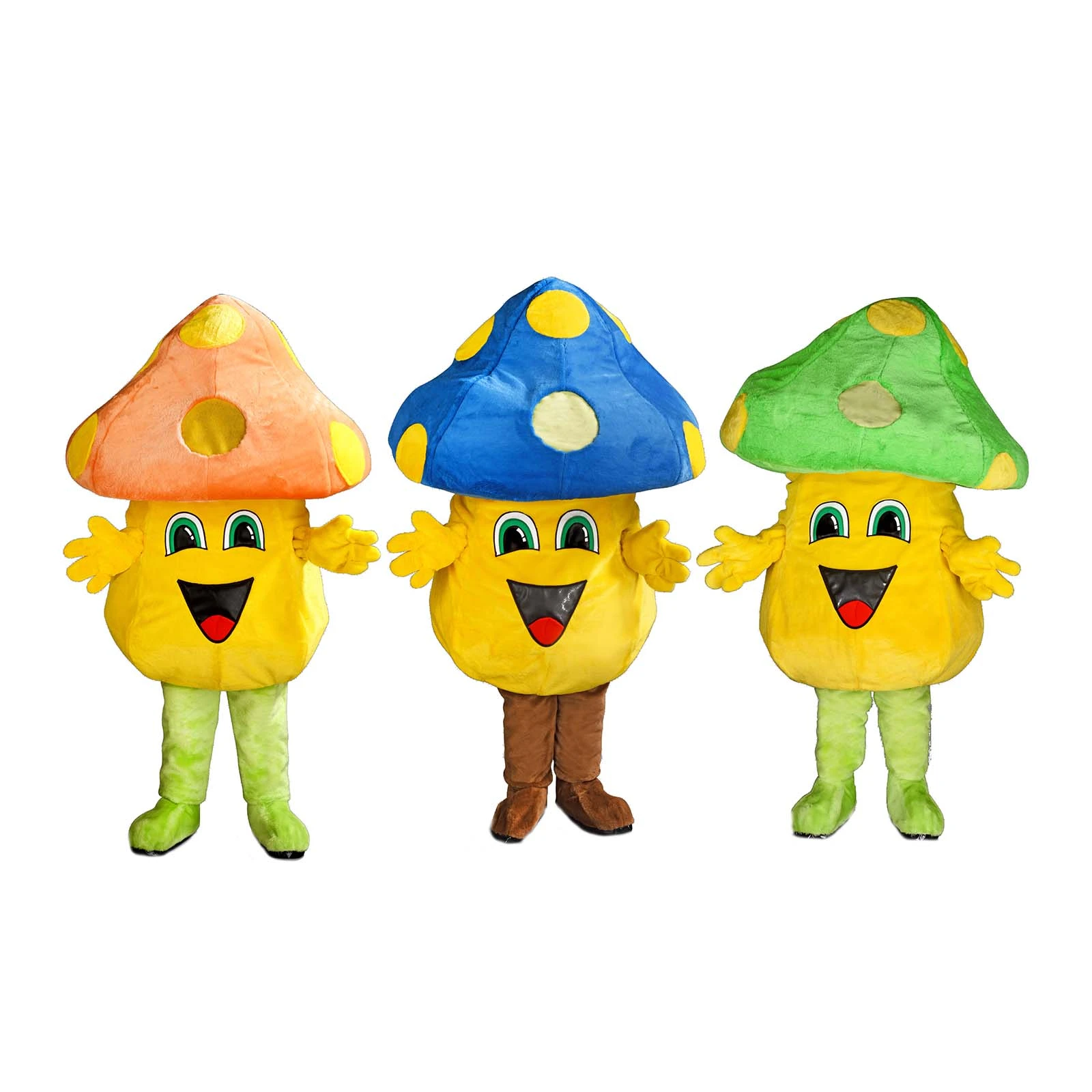 Champignonpak – Eufa De Champignon 4 Champignonpak – Eufa De Champignon - Afbeelding 3