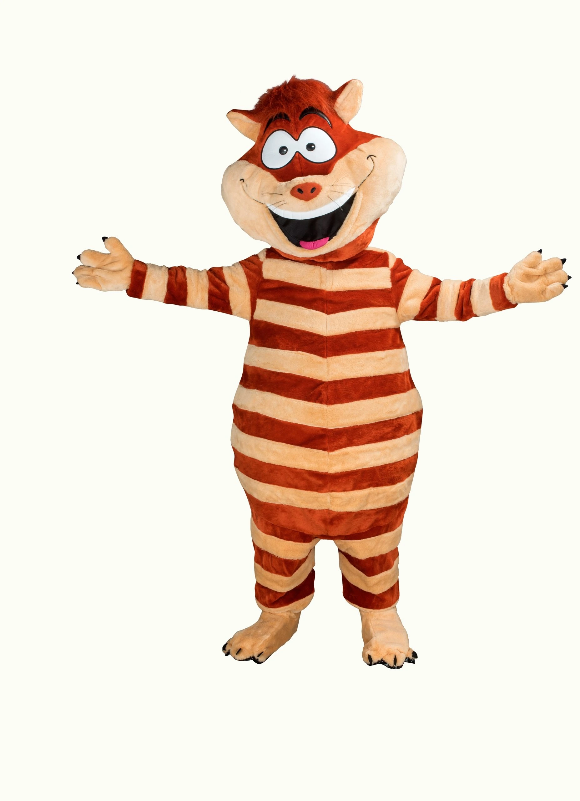 Kattenpak – Dinah De Streepjeskat 3 Kattenpak – Dinah De Streepjeskat