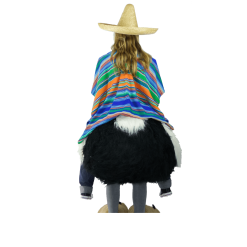 Struisvogelpak – Olivia De Struisvogel 12 Struisvogelpak – Olivia De Struisvogel -Overig Cosplay Winkel Struisvolgelfilter3