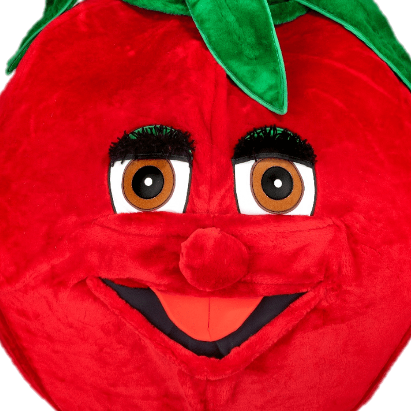 Tomatenpak – Tommie De Tomaat 4 Tomatenpak – Tommie De Tomaat - Afbeelding 2