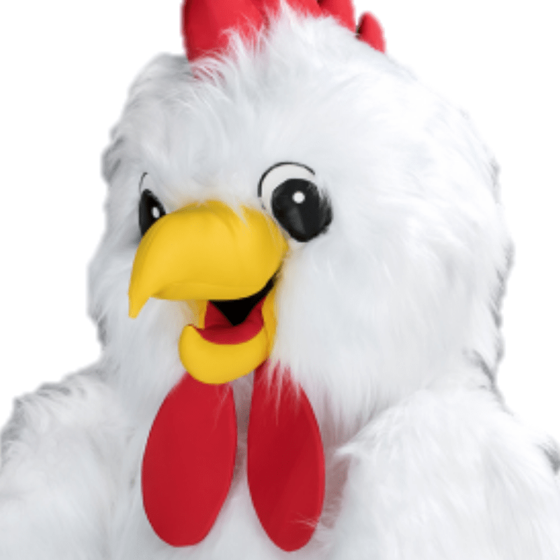 Kippenpak – Sanne De Kip 4 Kippenpak – Sanne De Kip - Afbeelding 2