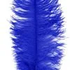 Overig Baret Struisvogelveer Blauw 60-70cm -Overig Cosplay Winkel baret struisvogelveer blauw 60 70cm