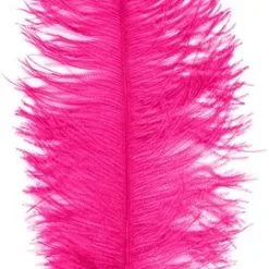 Overig Baret Struisvogelveer Pink 60-70cm