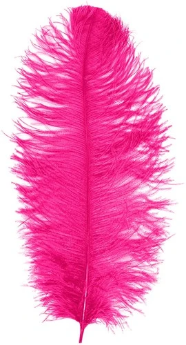Overig Baret Struisvogelveer Pink 60-70cm 3 Overig Baret Struisvogelveer Pink 60-70cm