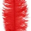 Overig Baret Struisvogelveer Rood 60-70cm -Overig Cosplay Winkel baret struisvogelveer rood 60 70cm
