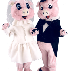 Varkenspak – Harry Het Varken -Overig Cosplay Winkel marie1e 1