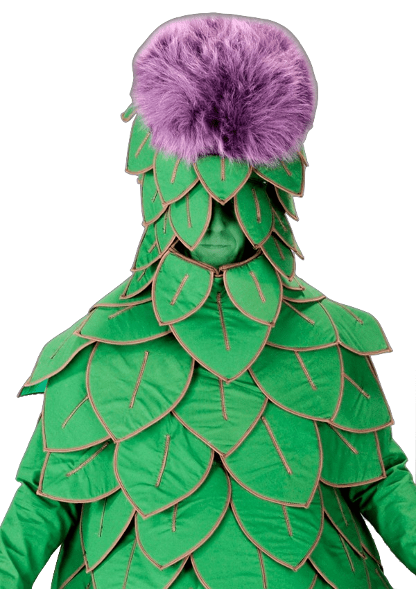 Artisjokpak – Aard De Artisjok 4 Artisjokpak – Aard De Artisjok - Afbeelding 2