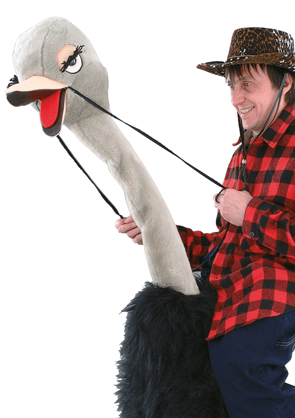 Struisvogelpak – Olivia De Struisvogel 4 Struisvogelpak – Olivia De Struisvogel - Afbeelding 2