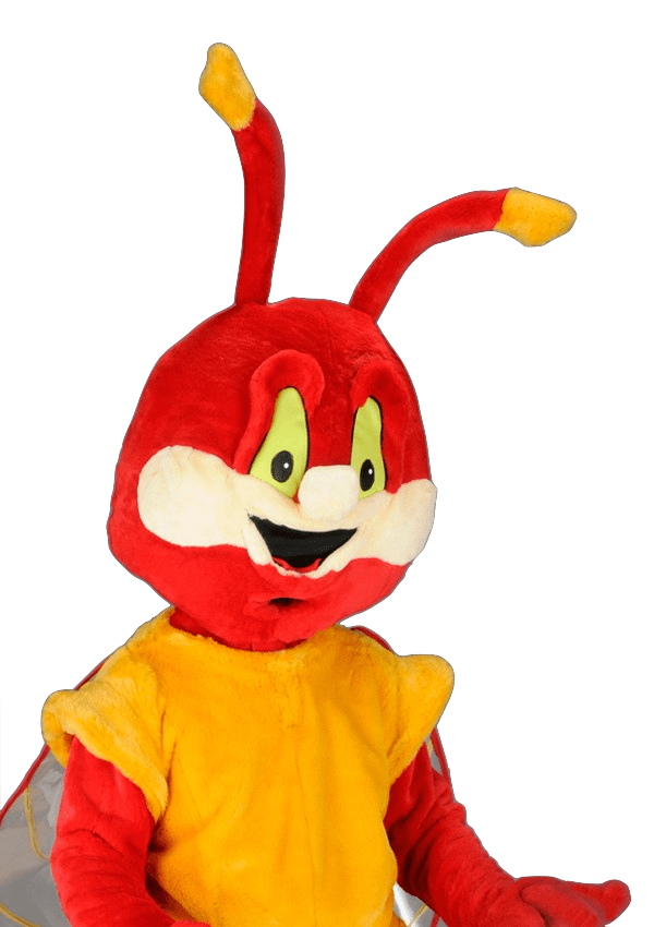 Krekelpak – Karel De Krekel 4 Krekelpak – Karel De Krekel - Afbeelding 2