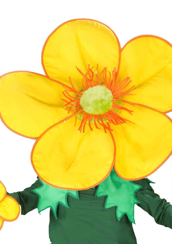 Bloemenpak – Fleur De Dansende Bloem 4 Bloemenpak – Fleur De Dansende Bloem - Afbeelding 2