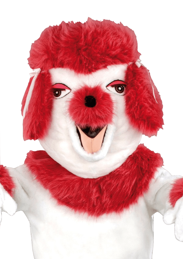 Poedelpak – Dolly De Poedel 4 Poedelpak – Dolly De Poedel - Afbeelding 2