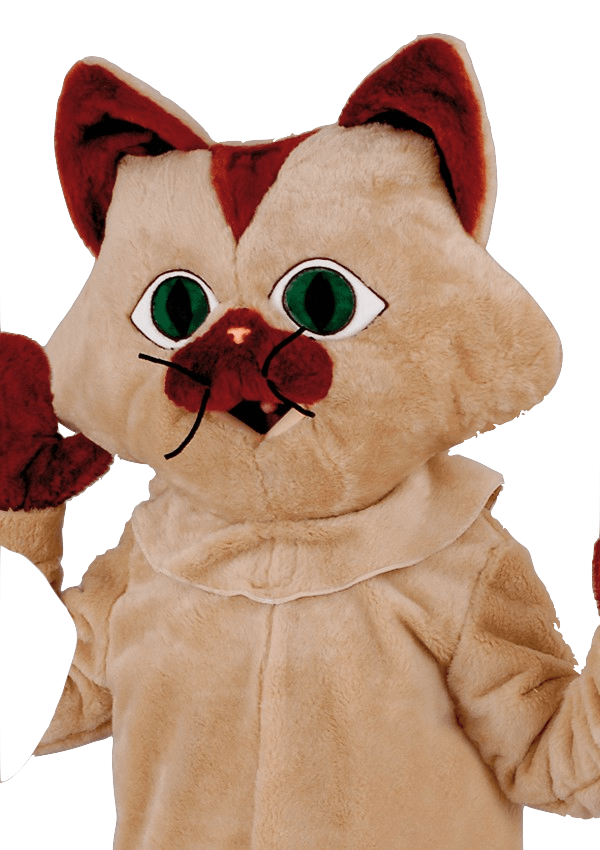 Kattenpak – Moos De Kat 4 Kattenpak – Moos De Kat - Afbeelding 2