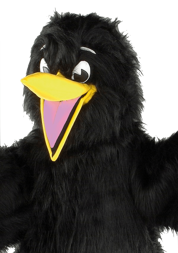 Vogelpak – Karel De Zwarte Vogel 4 Vogelpak – Karel De Zwarte Vogel - Afbeelding 2