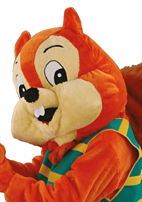 Eekhoornpak – Sandy De Eekhoorn 4 Eekhoornpak – Sandy De Eekhoorn - Afbeelding 2