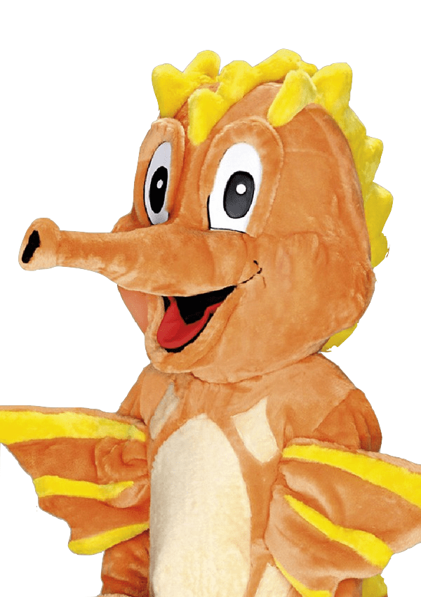 Zeepaardpak – Sheldon Het Zeepaard 4 Zeepaardpak – Sheldon Het Zeepaard - Afbeelding 2