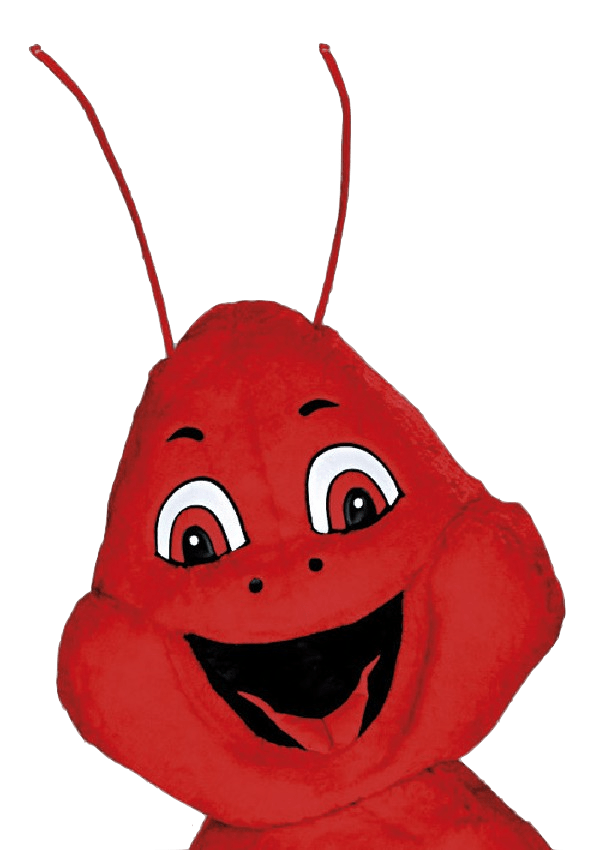 Rivierkreeftpak – Rosa De Rivierkreeft 4 Rivierkreeftpak – Rosa De Rivierkreeft - Afbeelding 2