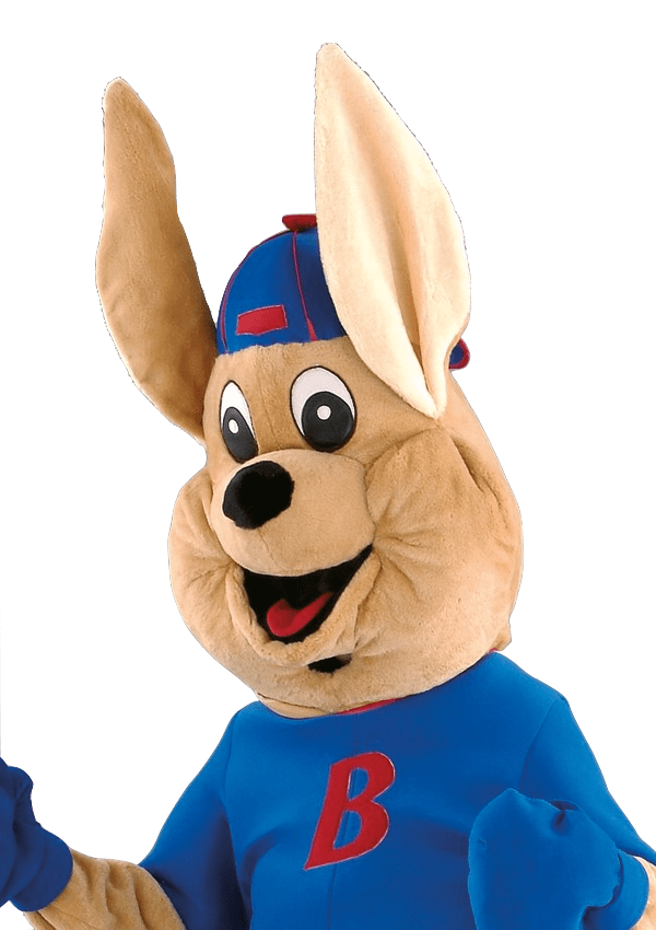 Kangoeroepak – Bouncy De Kangoeroe 4 Kangoeroepak – Bouncy De Kangoeroe - Afbeelding 2