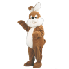 Paashaaspak – Snuf De Paashaas 1 Paashaaspak – Snuf De Paashaas -Overig Cosplay Winkel mascotte lapin brun