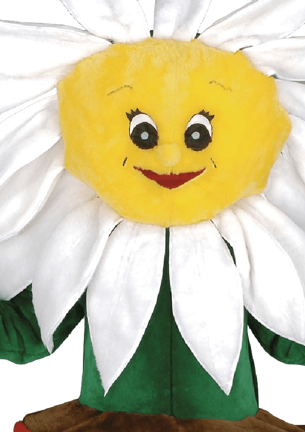 Bloemenpak – Margriet De Bloem 4 Bloemenpak – Margriet De Bloem - Afbeelding 2