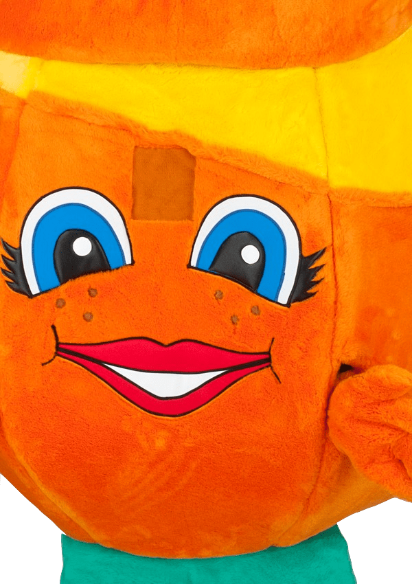 Sinaasappelpak – Orange De Sinaasappel 4 Sinaasappelpak – Orange De Sinaasappel - Afbeelding 2