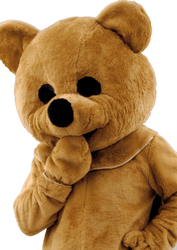 Berenpak – Poppie De Bruine Knuffelbeer 4 Berenpak – Poppie De Bruine Knuffelbeer - Afbeelding 2