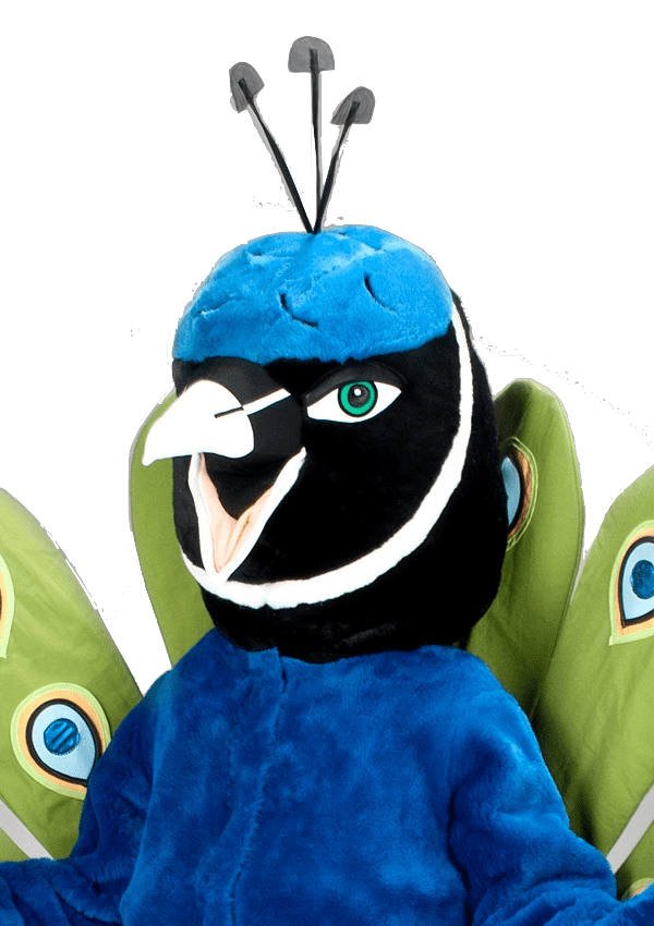 Pauwenpak – Pamela De Pauw 4 Pauwenpak – Pamela De Pauw - Afbeelding 2