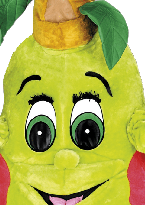 Perenpak – Petra De Peer 4 Perenpak – Petra De Peer - Afbeelding 2