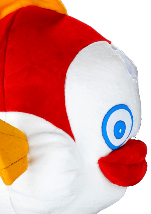 Vissenpak – Nina De Vis 4 Vissenpak – Nina De Vis - Afbeelding 2