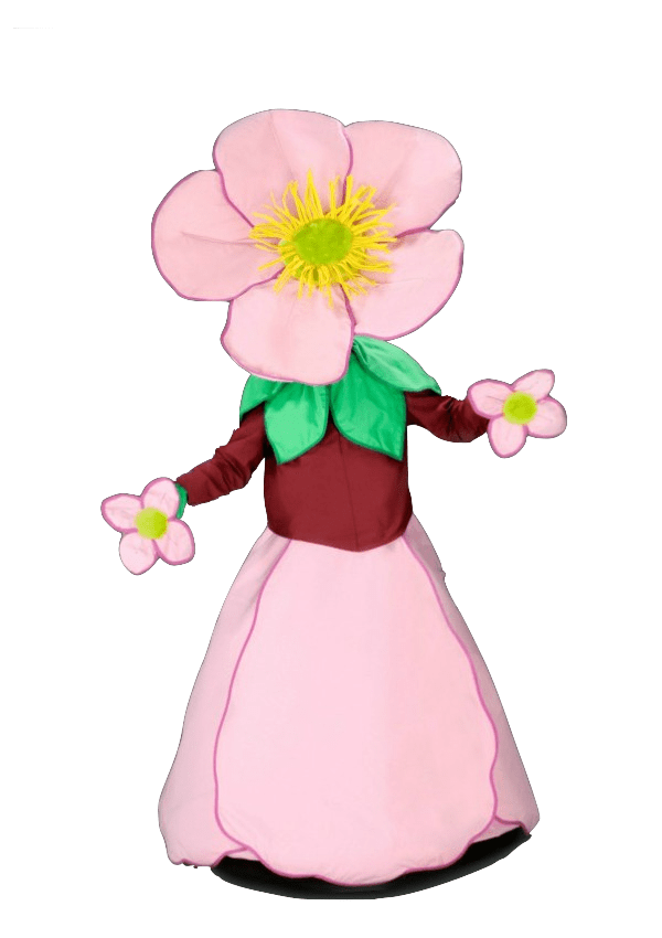 Bloemenpak – Daisy De Dansende Bloem 3 Bloemenpak – Daisy De Dansende Bloem