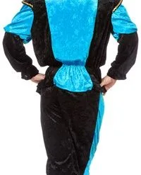 Overig Heren Budget Piet Pansamt Turquoise -Overig Cosplay Winkel piet pansamt budget heer turquoise achterkant