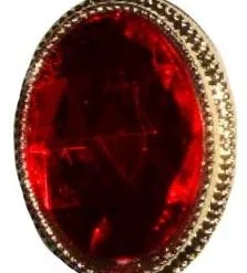 Overig Sinterklaas Ring Rode Steen