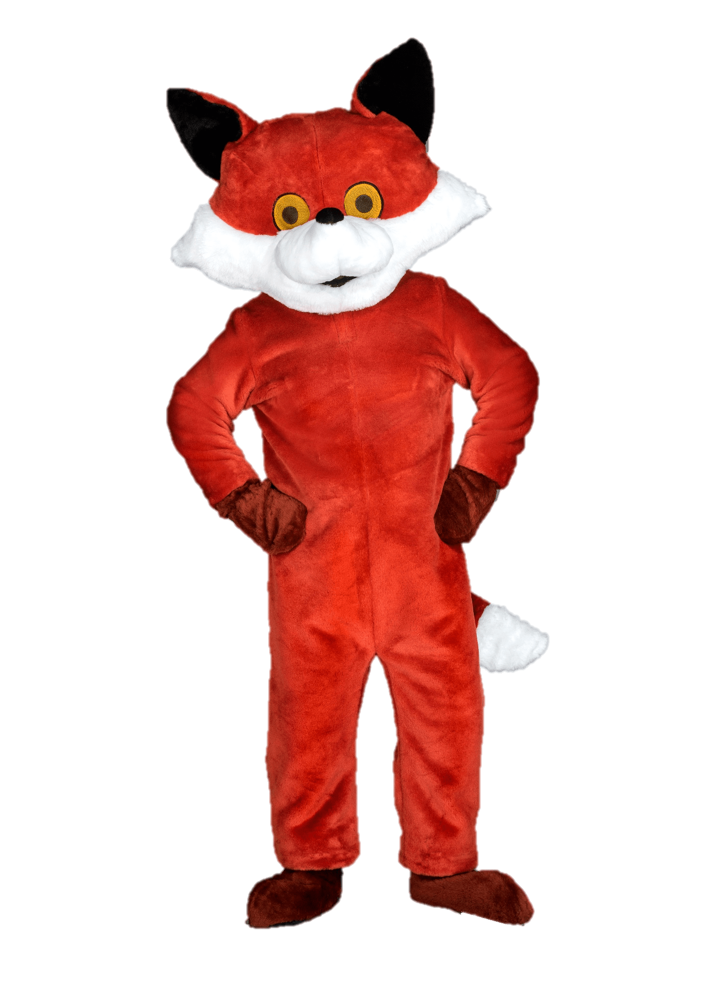 Vossenpak – Vincent De Vos 3 Vossenpak – Vincent De Vos