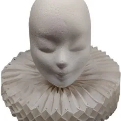 Overig Witte Harmonica Kraag